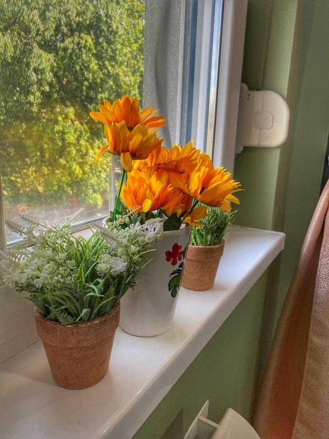 Apartman Diana Sremska Mitrovica Eksteriør billede